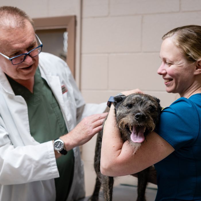 A woman holds a dog in her arms